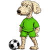 Pudel Fussball Hund