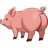 Cartoon pig in pink tones