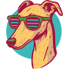 Lévrier, Galgo