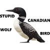 Loon - stupid canadian wolf bird