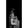 Dollerinthefire