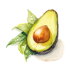 Illustration aquarelle avec avocat