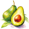 Avocado Aquarell Frische