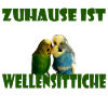 Home is where my budgies are