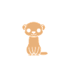 Belette mignonne sur fond noir