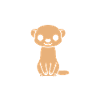 Team Belette