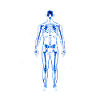Anatomy Taxpayer - Dismantling Plan