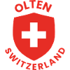 Swiss shield with white cross