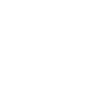 Tribal Raven – Mystic Bird Motif