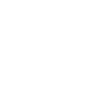 Wild Panda – Tribal Bear Motif