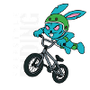 Lapin BMX Freestyle - Extreme Riding Design