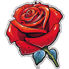 Rose Red Cartoon Rose Dew