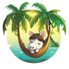 Coconut Hammock Island Dream