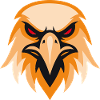 Wild Eagle Head in Orange