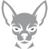 Chihuahua silhouette with stern look