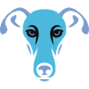 Lévrier, Galgo