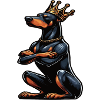 Doberman Doberman Owner Doberman Lovers