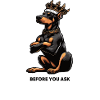 Before You Ask Dobermann Dobermannbesitzer 