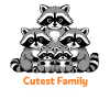 Cute raccoon family