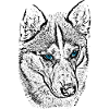 Wolf Head Drawing Blue Eyes