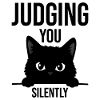 Funny Cat, Judging You Silently