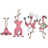 Flamingos: chef and kitchen coach