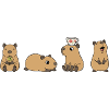 Capybara Tea Time Quartet