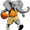 Elephant Basketball Player / Basketball Elephant