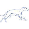 Minimalistisk Greyhound Silhouette Linjekunst