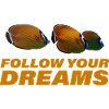 Follow Your Dreams