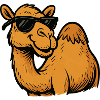 Kamel mit Sonnenbrille