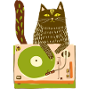 Cat DJ on Turntable