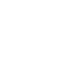 Budgie Bird Pet Vector