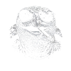 Turtle with sunglasses and cigarette