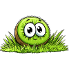 Happy kiwi in the grass