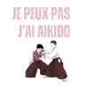 I can't I have aikido