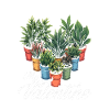 Plant Lover Plants Valentine Succulent