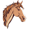 Cheval Tête de cheval