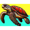 turtle