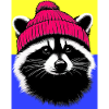 Raccoon