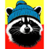 Raccoon