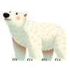 Polar bear