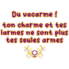 Du_vacarme_ton_charme_et_tes_larmes_ne_sont_plus..