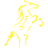 Cavalier équestre