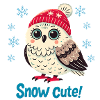 Winter Owl in a Hat