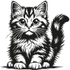 Black kitten in silhouette