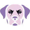 Labrador; Dog head