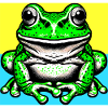 frog