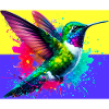 hummingbird