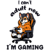 Jeg kan ikke være voksen, nå spiller jeg, morsom gamer Fox Fuchs